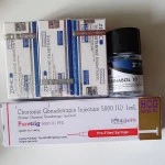 PURETRIG GONADOTROPIN INJECTION 5000IU/шприц 1мл (АПТЕКА)