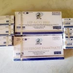Nandrolone Decnoate (ZPHC NEW) 10 мл - 250мг/мл